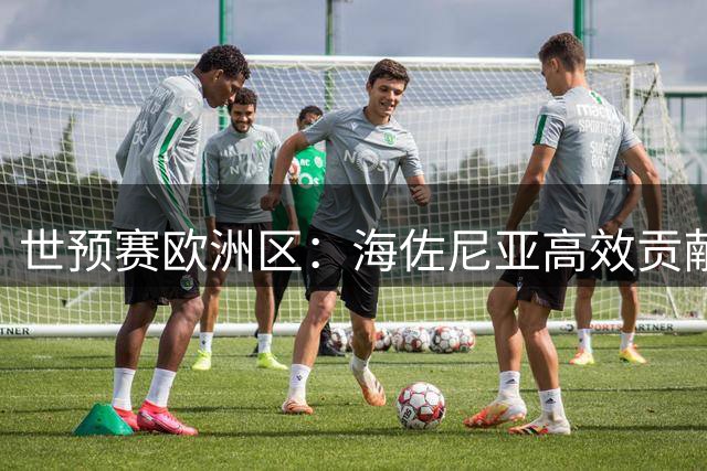 世预赛欧洲区：海佐尼亚高效贡献28分7助攻率队告捷