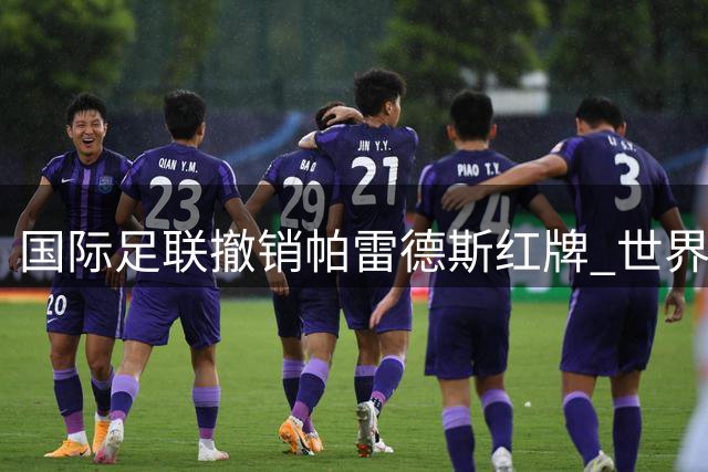 国际足联撤销帕雷德斯红牌 世界杯决赛冲突事件调查启动